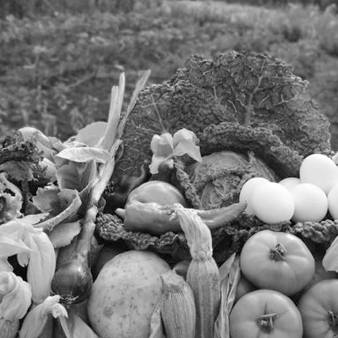 Ruralidea-arsial-gli-obiettivi-imprescindibili-per-le-agricolture-del-lazio-1080