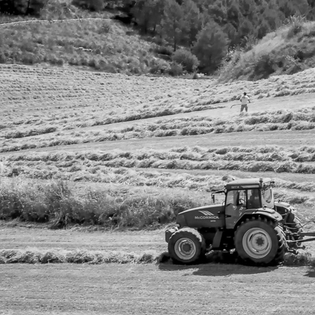 Ruralidea-sfide-necessarie-reddito-e-dignita-per-i-lavoratori-della-ruralita-1080